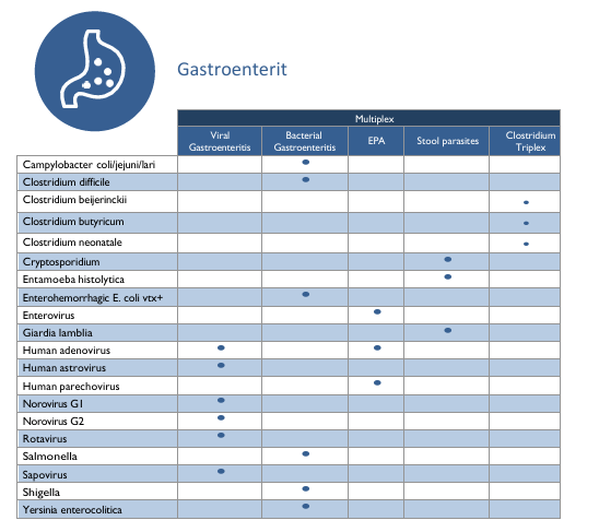 Gastroenterit