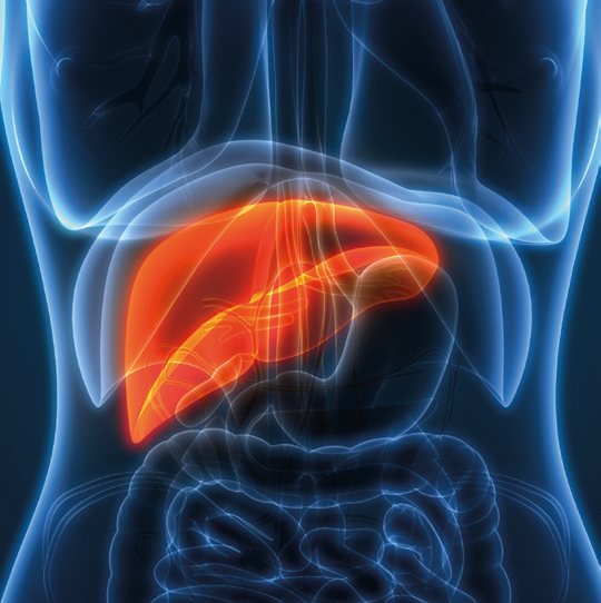 Hepatit